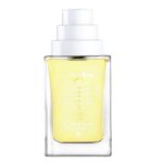 South Bay woda toaletowa spray 100ml Tester