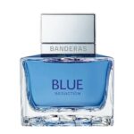 Blue Seduction For Men Eau de Toilette woda toaletowa spray 50ml