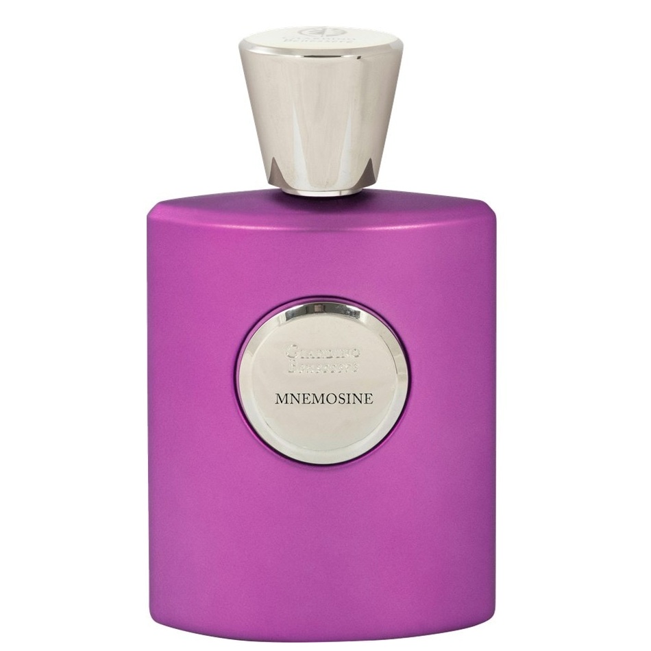96676381750850165 Mnemosine ekstrakt perfum spray 100ml - obrazek 1