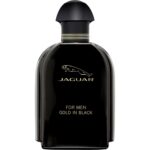Gold In Black For Men woda toaletowa spray 100ml