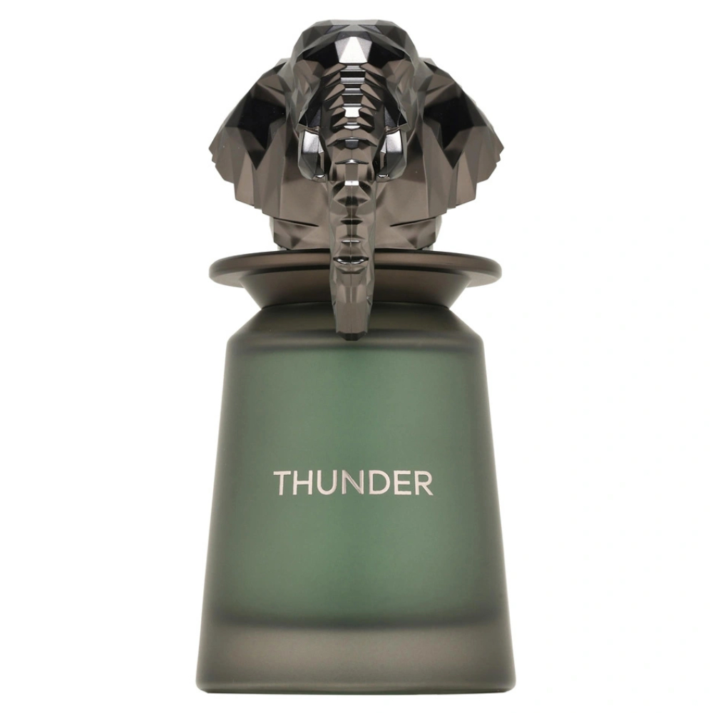 14727711783419159 Thunder woda perfumowana spray 100ml - obrazek 1