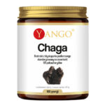 Chaga ekstrakt 10% polisacharydów suplement diety 50g
