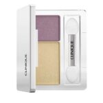 All About Shadow™ Duo podwójny cień do powiek Beach Plum 1.7g
