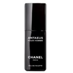 Antaeus Pour Homme woda toaletowa spray 100ml