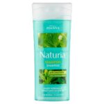 Naturia szampon do włosów pokrzywa i zielona herbata 100ml