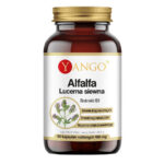 Alfalfa lucerna siewna suplement diety 60 kapsułek