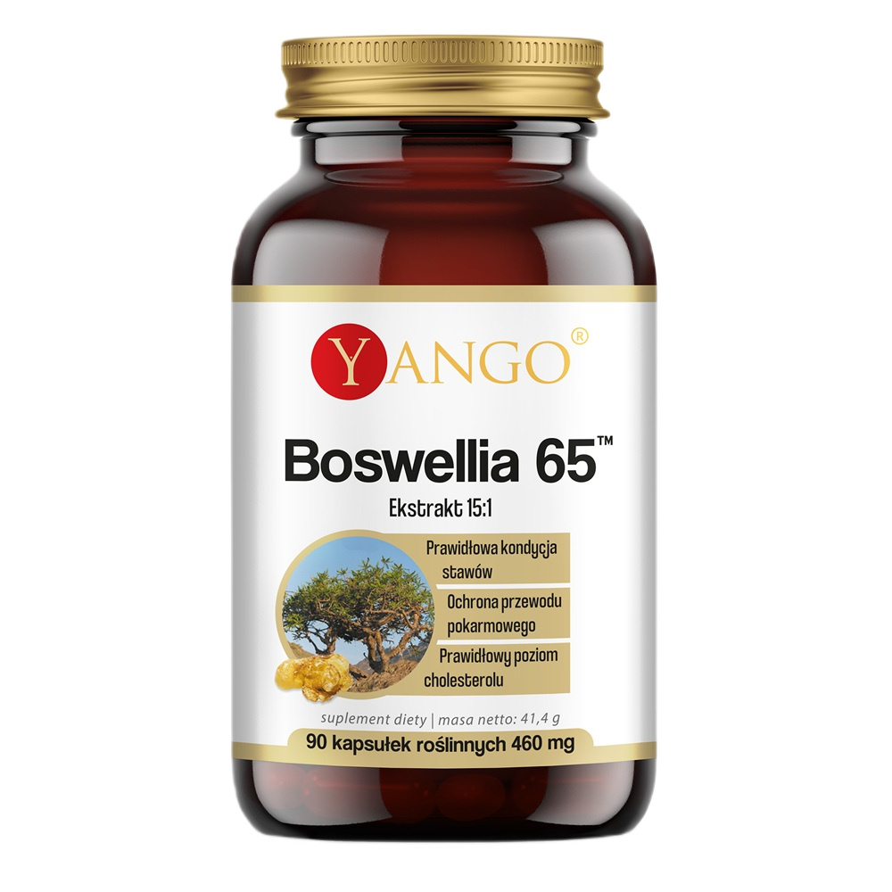 54463911779086357 Boswellia 65 suplement diety 90 kapsułek - obrazek 1