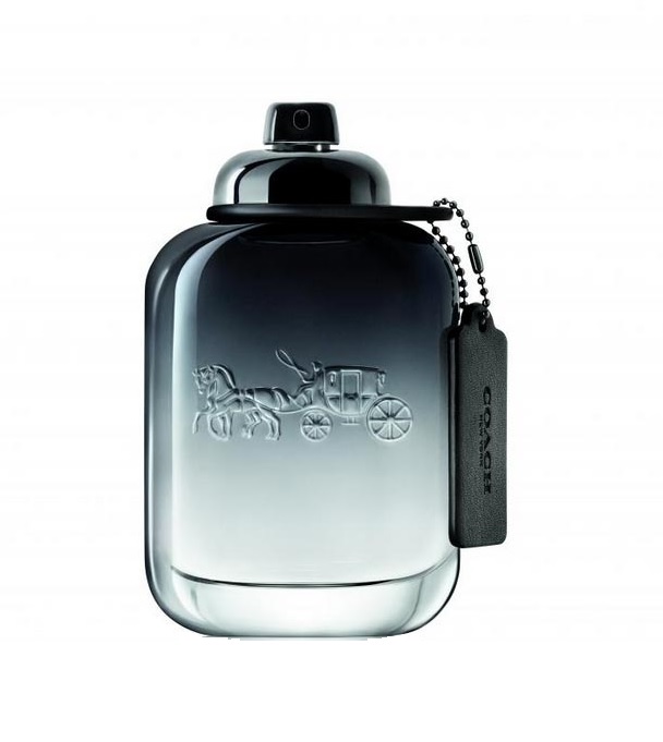 61996041540203511 Men woda toaletowa spray 100ml - obrazek 1