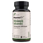 Mniszek lekarski 300 mg suplement diety 90 kapsułek