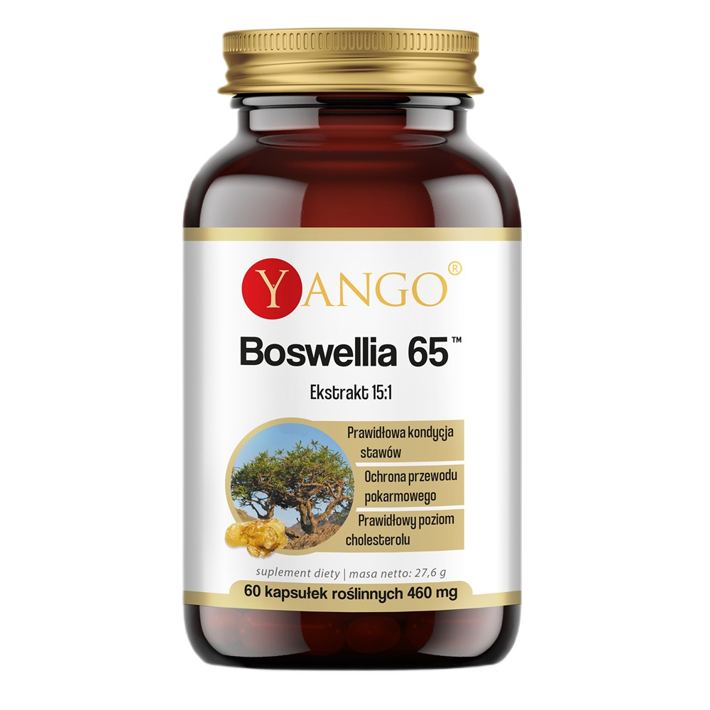 75457571779086226 Boswellia 65 suplement diety 60 kapsułek - obrazek 1